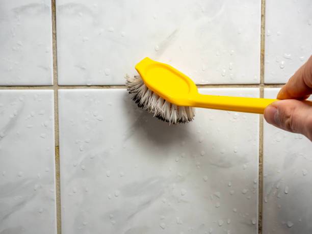 Best Preventive Mold Services in Experiment, GA