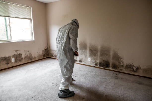 Best Health and Safety Mold Remediation in Experiment, GA