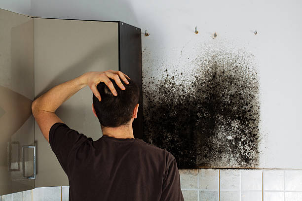 Best Black Mold Remediation in Experiment, GA